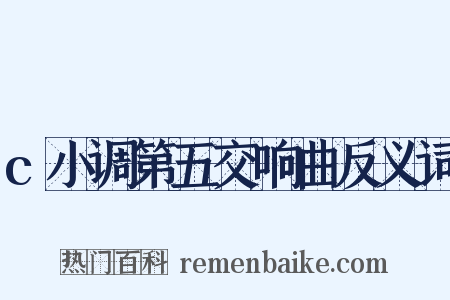 c小调第五交响曲反义词是什么意思的图片